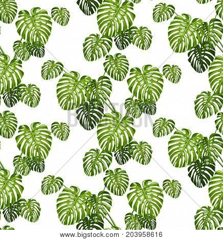 Exotic pattern with monstera leaves. Seamless tropical background. Vector illustration.