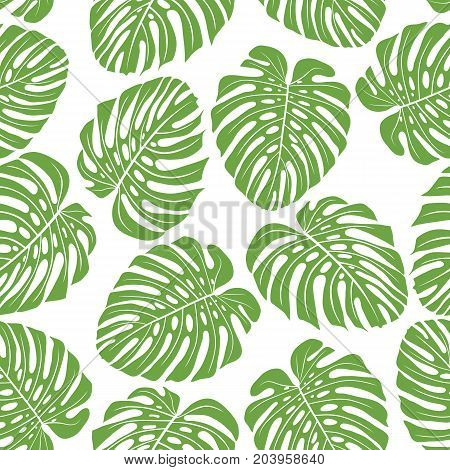 Exotic pattern with monstera leaves. Seamless tropical background. Vector illustration.