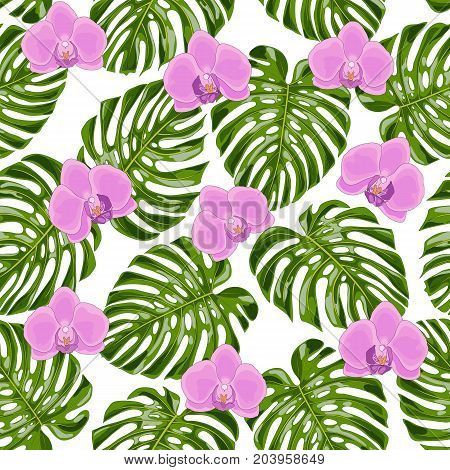 Beautiful tropical flowers orchid. Floral exotic pattern with monstera leaves. Seamless background. Vector illustration.