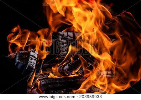 Red and orange flame of a bonfire and black pressed coal in brazier for barbecue on grass background