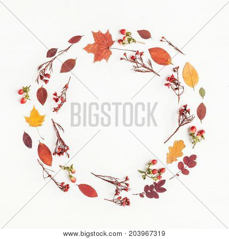Autumn composition. Wreath made of autumn flowers and leaves on white background. Flat lay top view copy space