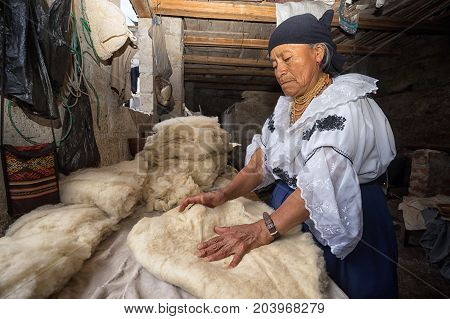 April 21 2017 Iluman Ecuador: combed wood is packed in several layers to set the base of the traditional hat
