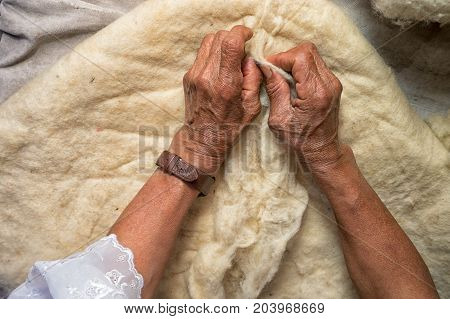 April 21 2017 Iluman Ecuador: hands of an elderly quechua woman preparing natural sheep wool for artisan hat manufacturing