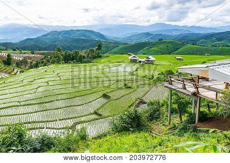 little house and Rice terrace in a cloudy lighting surrounded by trees and mountains at Pa Bong Piang near Inthanon National Park and Mae Chaem Chiangmai Thailand.