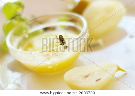 Busy Bee