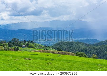 little hut and Rice terrace in a cloudy lighting surrounded by trees and mountains with a raining storm in the background at Pa Bong Piang near Inthanon National Park and Mae Chaem Chiangmai Thailand.