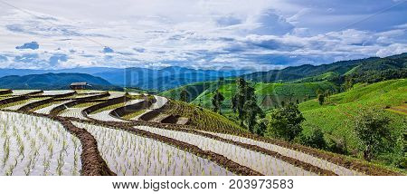 Panorama view of little hut and Rice terrace in a cloudy lighting surrounded by trees and mountains at Pa Bong Piang near Inthanon National Park and Mae Chaem Chiangmai Thailand.