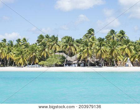 Caribbean sea with turquoise water and palms close to Saona island