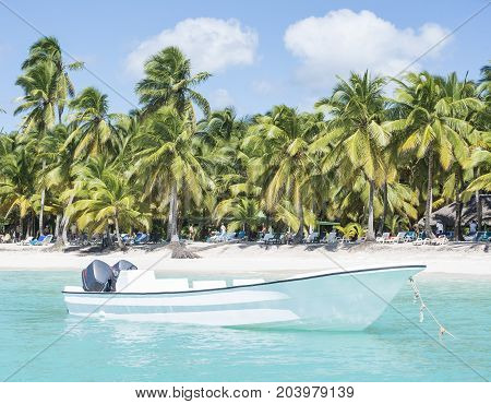 Caribbean sea with turquoise water and palms close to Saona island