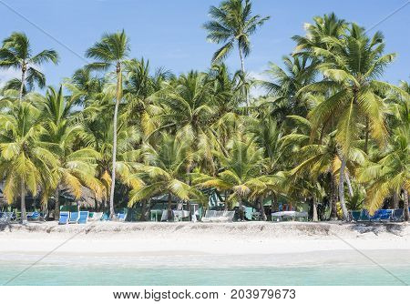 Caribbean sea with turquoise water and palms close to Saona island