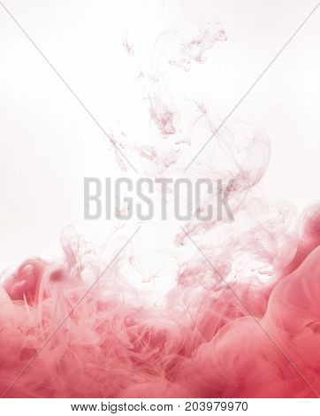 Ink swirl in water isolated on white background. The paint in the water. Soft dissemination a droplets of pink ink in water close-up. Abstract background. Soft focus, blurred backdrop.