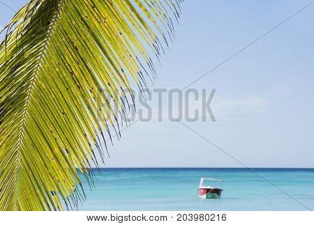 Caribbean sea with turquoise water and palms close to Saona island