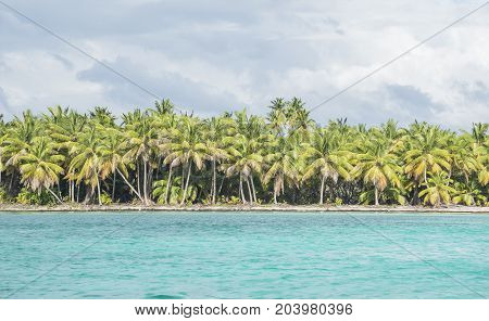Caribbean sea with turquoise water and palms close to Saona island