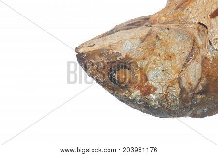 the big Fried Mackerel isolate on white