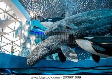 08 July 2017, RUSSIA, VLADIVOSTOK : Whale in architecture in city in the aquarium Vladivostok, Russia