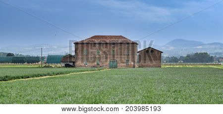Rural landscape near Fidenza (Parma Emilia-Romagna Italy) at summer. Farm
