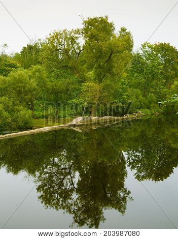 A beautiful reflected landscape of a forest near the river. Green autumn scenery.
