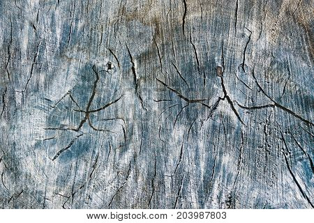 Toned rustic cracked old wooden pattern. Wood crack effect texture vintage style background