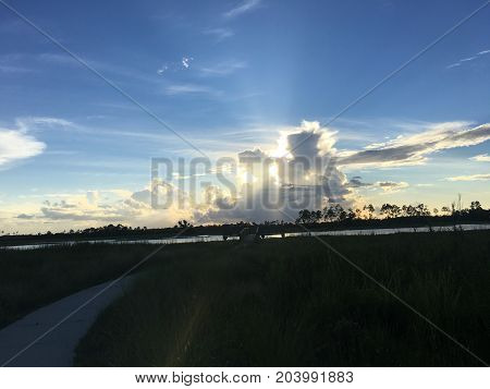 Beautiful And Peaceful Sunset In The Marshes Of A Swamp