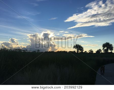 Beautiful And Peaceful Sunset In The Marshes Of A Swamp