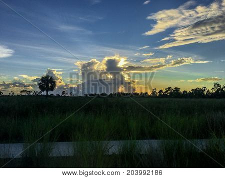 Beautiful And Peaceful Sunset In The Marshes Of A Swamp