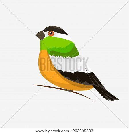 Vector color image of a bird, bird design icon