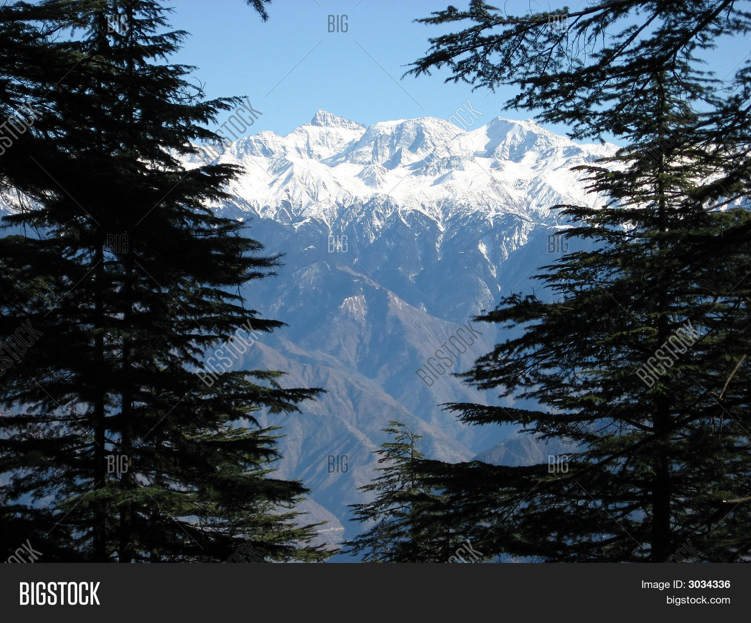 Image Preview