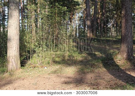 Photo Of White Lake. On Water Big The Blue Waves Of .spring Time.the Sky Is Blue With White Clouds.s