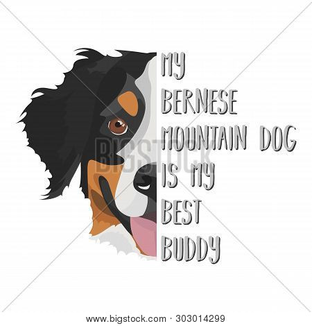 Illustration Dog Bernese Mountain Dog - My Bernese Mountain Dog Is My Best Friend. Puppy Dog ​​eyes,
