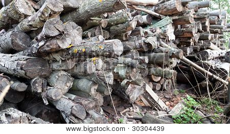 Pile de vieux bois