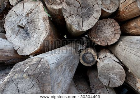 Pile de vieux bois