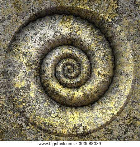 An image of a nice shell petrification