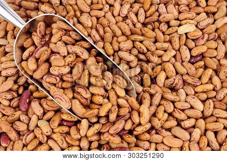 Rosecoco Bean Background Also Known As Roman Beans