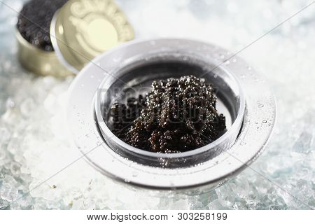 Caviar In Dish Placed Over Ice Closeup. Macro Photo