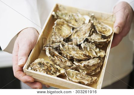 Closeup Of Chef Holding A Wooden Box Full Of Fresh Oysters