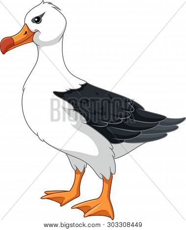 Great Cartoon Albatross. Sea Bird On White Background