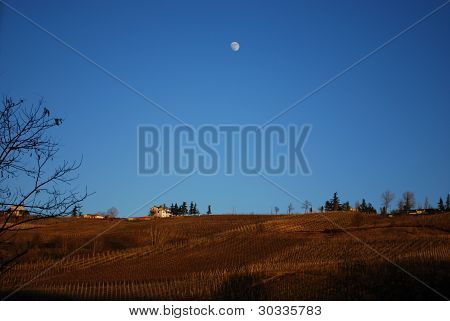 Panoramisk udsigt over bakker, Oltrepò Pavese, Italien