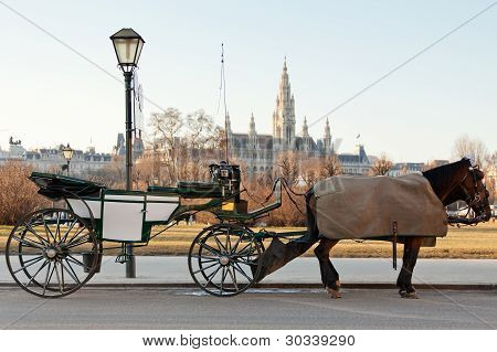 Carro Fiaker en Viena, Austria