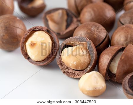 Set Of Macadamia Nuts On White Background With Copy Space. Set Of Macadamia Nuts - Whole Unshelled, 