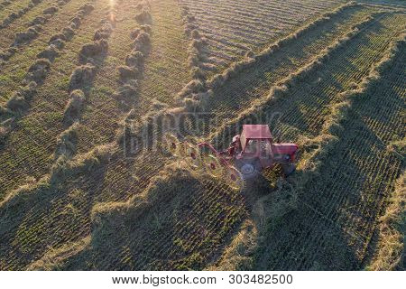 Top View Of Tractor With Hay Tedders Collecting Dry Lucerne For Balling In Field, Shoot From Drone