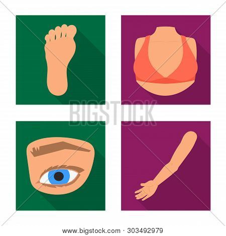 Vector Design Of Body And Part Symbol. Collection Of Body And Anatomy Stock Vector Illustration.