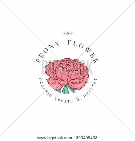 Hand Draw Vector Peony Flowers Logo Illustration. Floral Wreath. Botanical Floral Emblem With Typogr