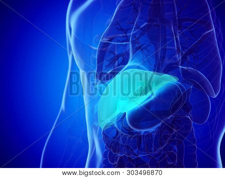 3d rendered medically accurate illustration of a mans liver