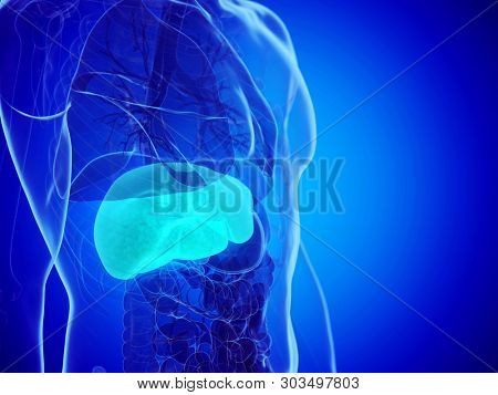 3d rendered medically accurate illustration of a mans liver