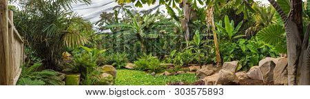 Palmetum Of Santa Cruz De Tenerife, Canary Islands