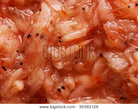 fermentované krevety