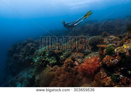 Young woman snorkeling and skin diving over the vivid coral garden in the tropical sea in Philippines