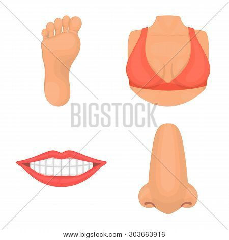 Vector Design Of Body And Part Logo. Set Of Body And Anatomy Vector Icon For Stock.