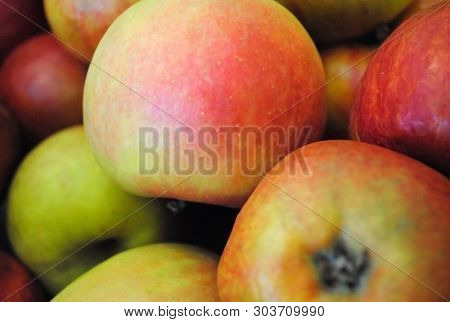 Many Beautiful Ripe Red Apples, Vitamins For The Winter