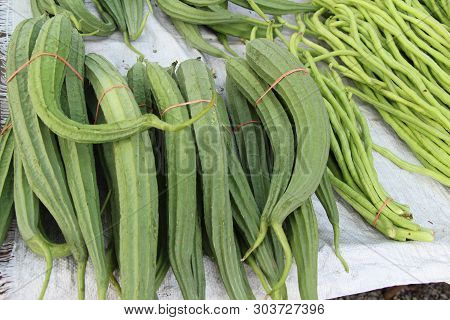 Luffa Acutangula For Cooking At Street Food